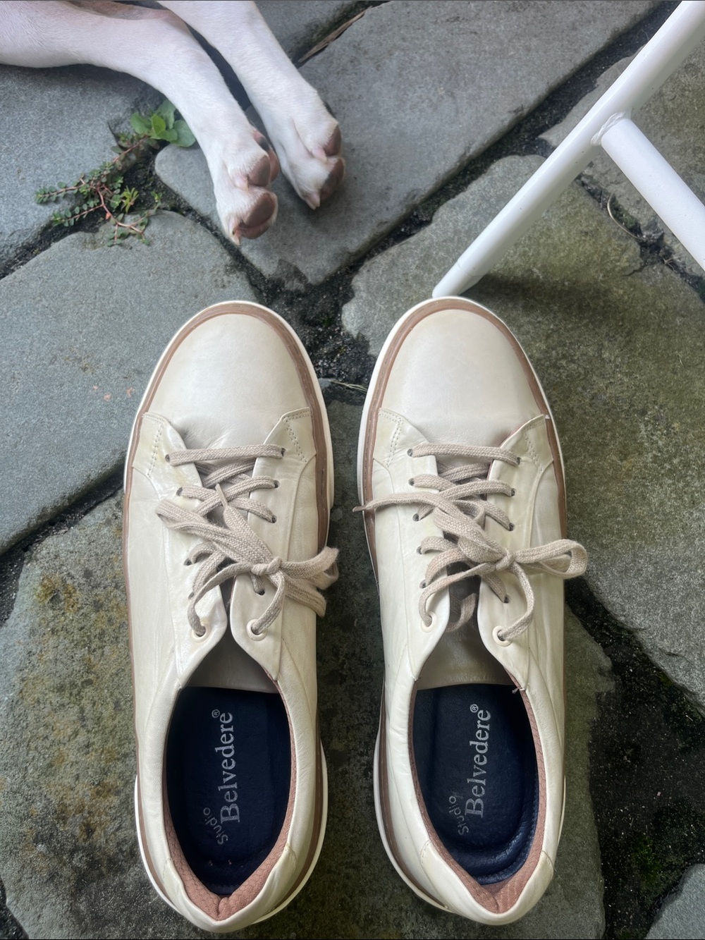 Belvedere Men’s Cream Leather Low-Top Sneakers